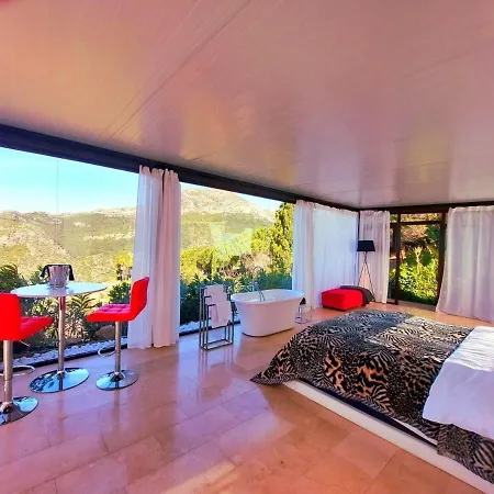 Stylish Beautiful And Exotic Oleandro Glass Casares