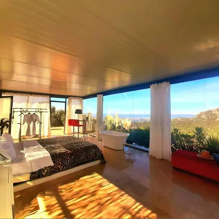 Stylish Beautiful And Exotic Oleandro Glass Casares